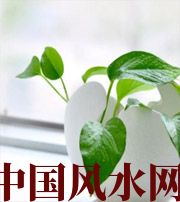 眉山家中摆放六种吉祥物，会打开您的财运大门！