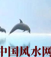 眉山做梦梦到这些，是要富裕的征兆！